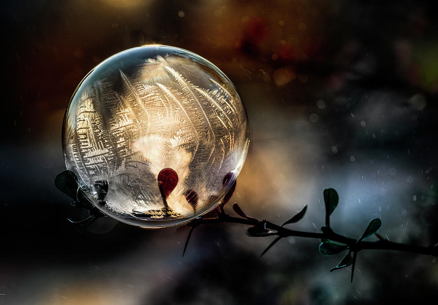 Golden ball Photograph by Jaroslaw Blaminsky
