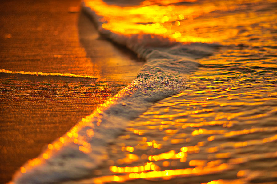 Golden Beach Photograph by Tom Gresham
