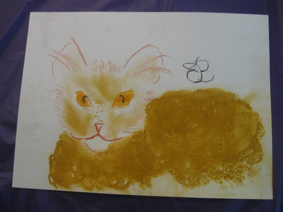 Golden Cat Drawing by AJ Brown