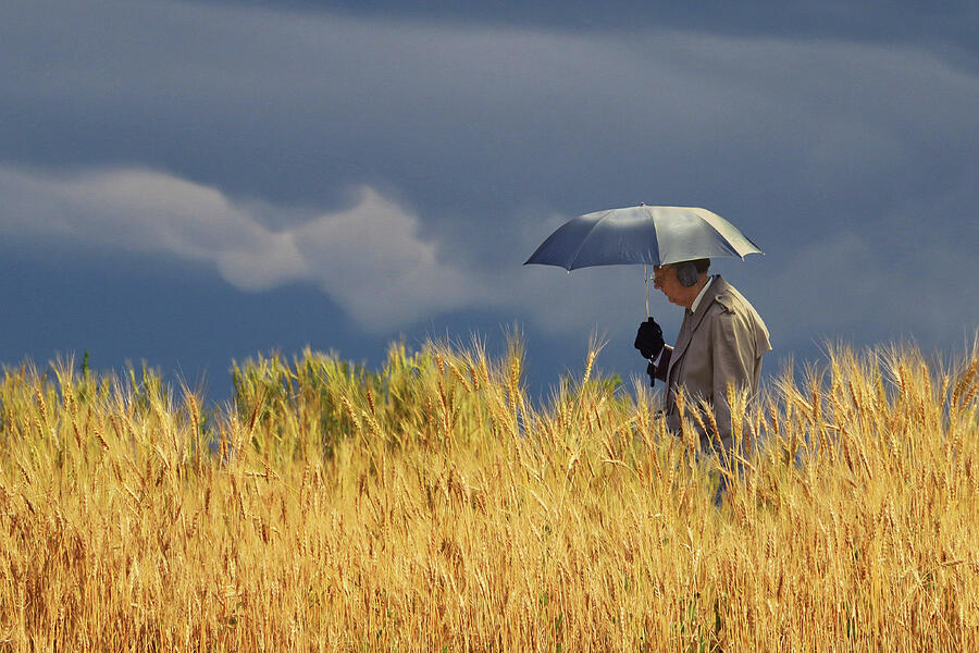 Umbrella Photograph - Golden Country Walker by Christopher McKenzie