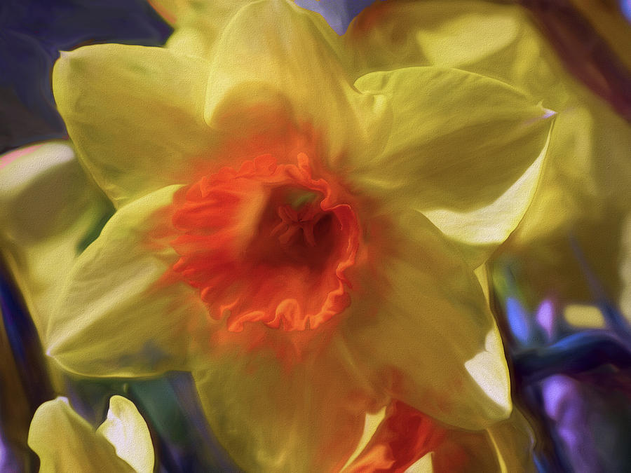 Golden Daffodil Brilliance Mixed Media by Lynda Lehmann