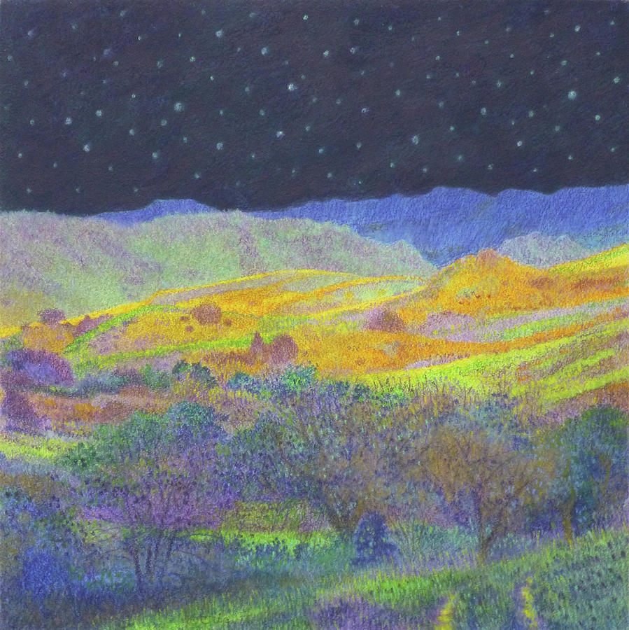 Golden Dakota Midnight Painting by Cris Fulton