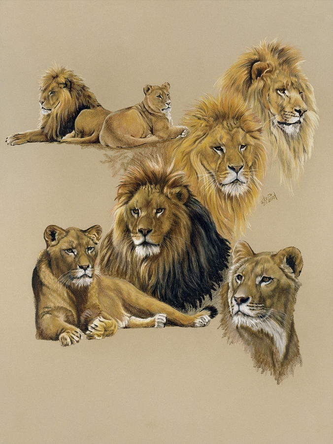 Lion Painting - Golden Days by Barbara Keith