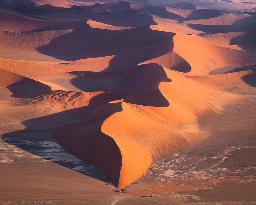 Landscape Photograph - Golden Desert by Susan Shao