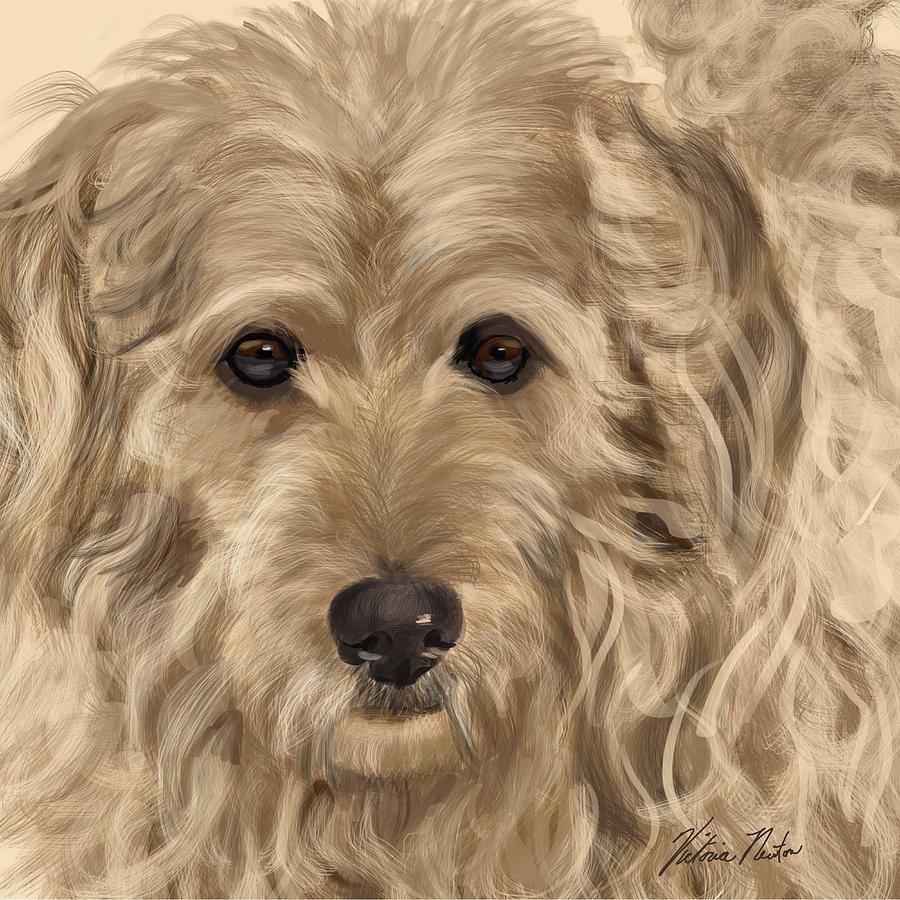 Golden doodle Digital Art by Victoria Newton - Fine Art America