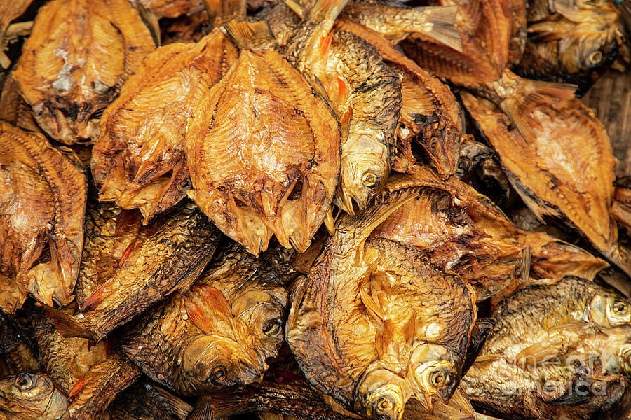 Golden Dried Fish One Photograph by Bob Phillips