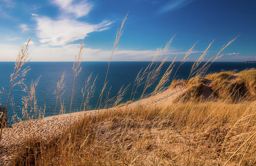 Golden Dune Grass On The Lake Photograph by Owen Weber