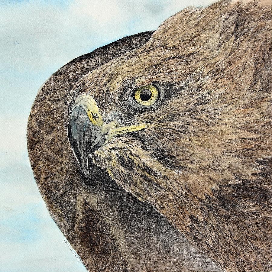 Golden Eagle Painting by Jennifer Kocher-Anderson | Fine Art America