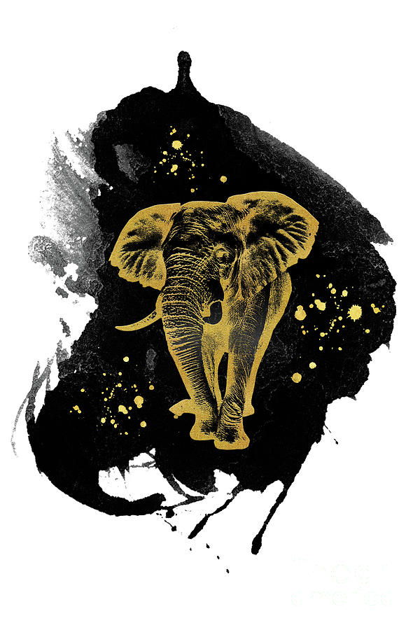 Golden Elephant by Angela Doelling AD DESIGN Photo and PhotoArt Golden Elephant by Angela Doelling AD DESIGN Photo and PhotoArt