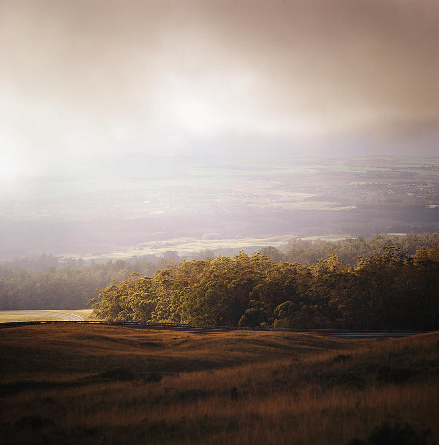 Golden Field And Forest Under Low Clouds Photograph by Danielle D. Hughson
