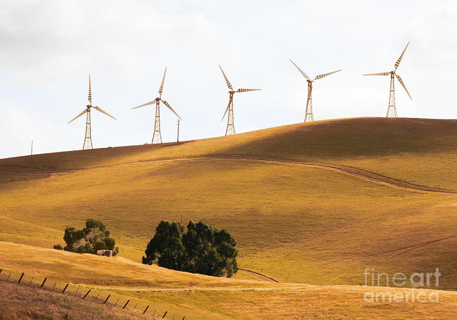 Nature Photograph - Golden Fields Wind Power  by Chuck Kuhn