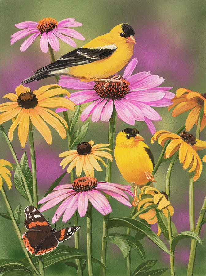 Bird Painting - Golden Finches by William Vanderdasson