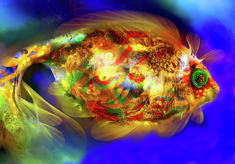 Abstract Digital Art - Golden Fish 1 by Natalia Rudzina