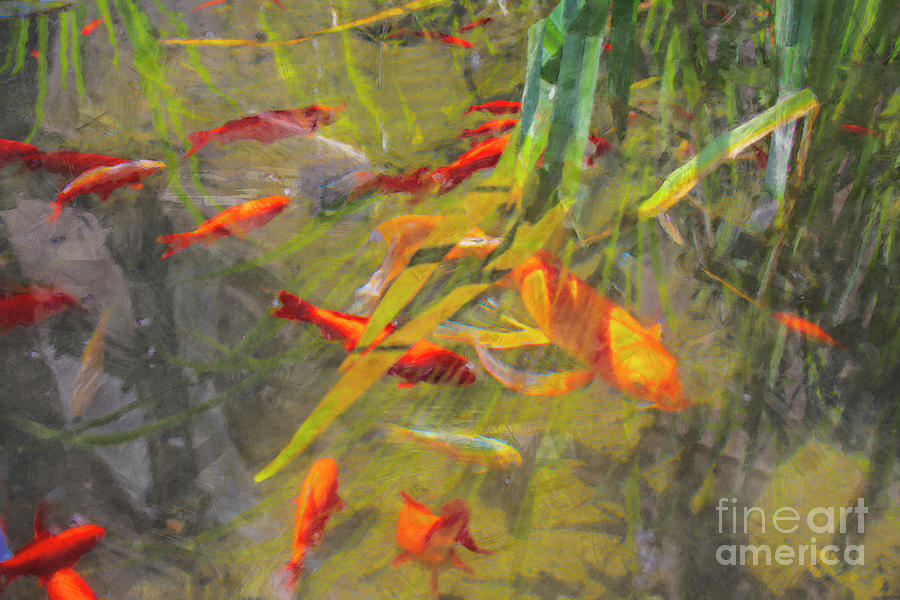 Golden fish - Never-ending movement Digital Art by Claudio Lepri