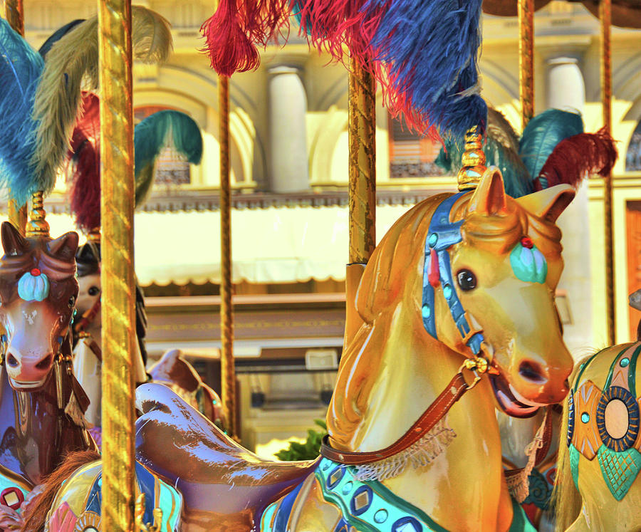 Golden Florence Pony Photograph by Dressage Design