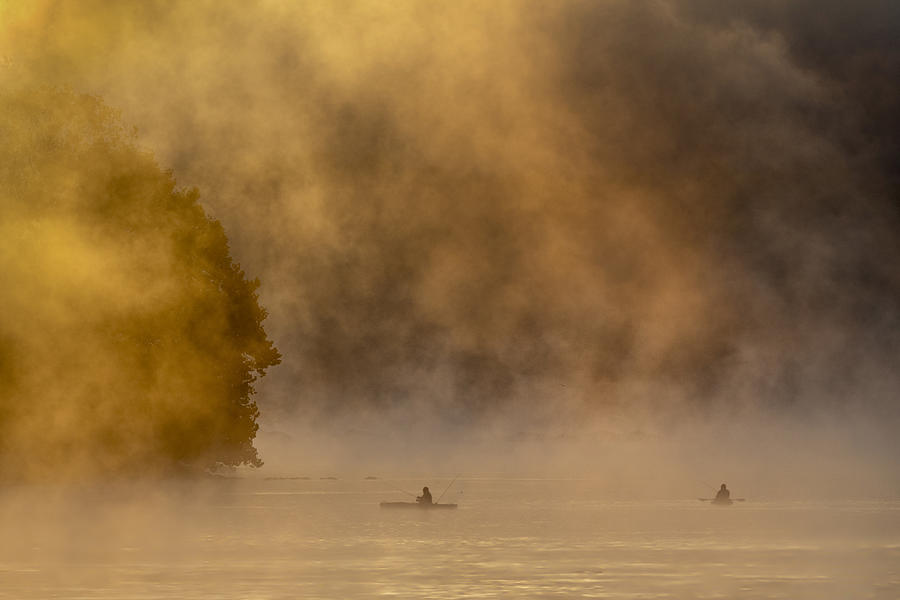Golden Foggy Morning Photograph by Rob Li