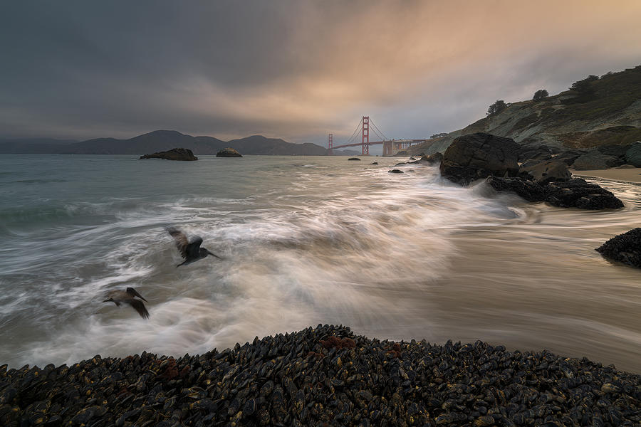 Beach Photograph - Golden Gate by Aidong Ning