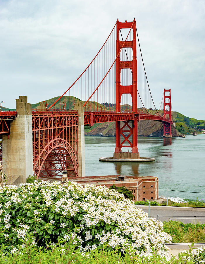 Golden Gate Bridge in Springtime Photograph by Marcy Wielfaert