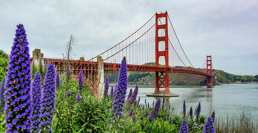 Golden Gate Bridge Photograph by Marcy Wielfaert