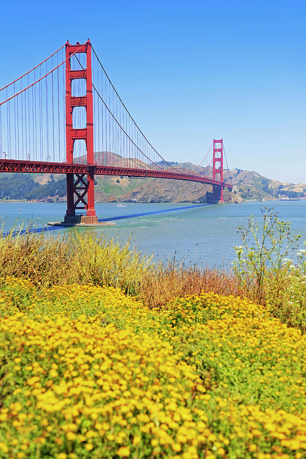City Digital Art - Golden Gate Bridge, San Francisco Bay, California, Usa by Marco Simoni