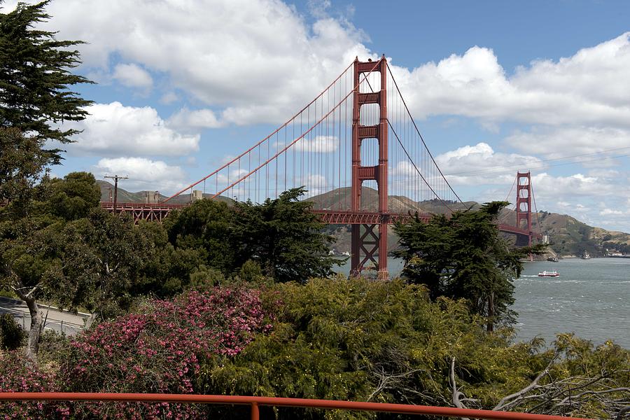 Golden Gate Bridge, San Francisco, California by Carol M. Highsmith 8 Painting by Celestial Images