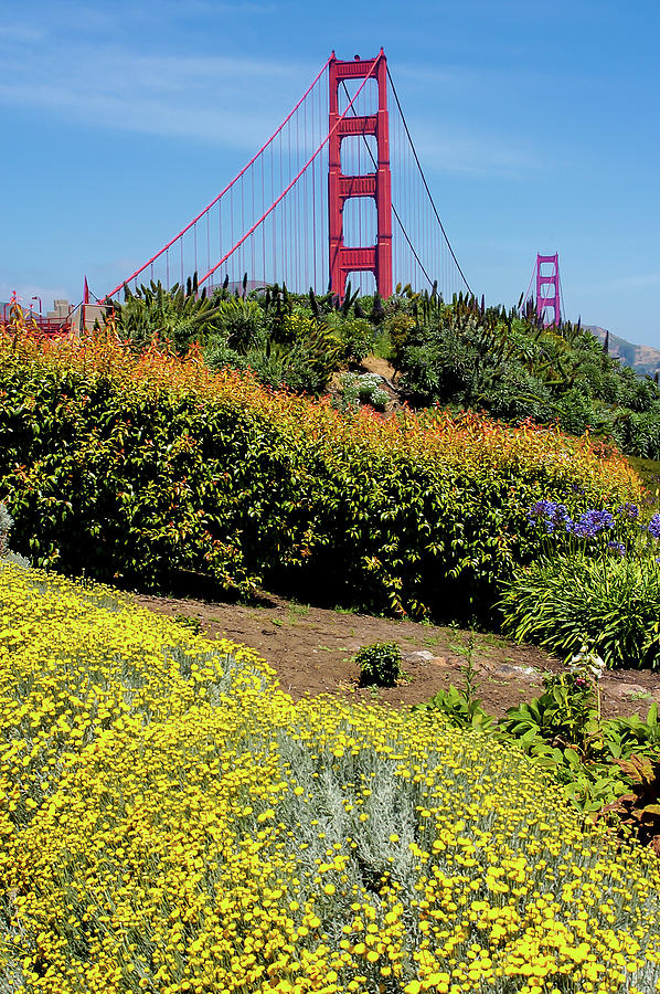 Golden Gate Bridge Summer Photograph