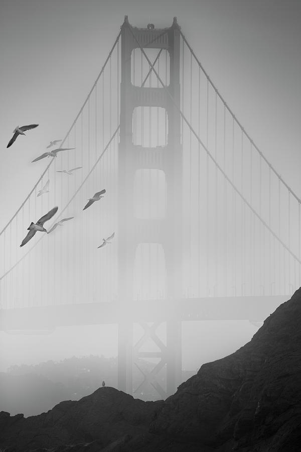 Black And White Photograph - Golden Gate Pier And Birds II by Moises Levy