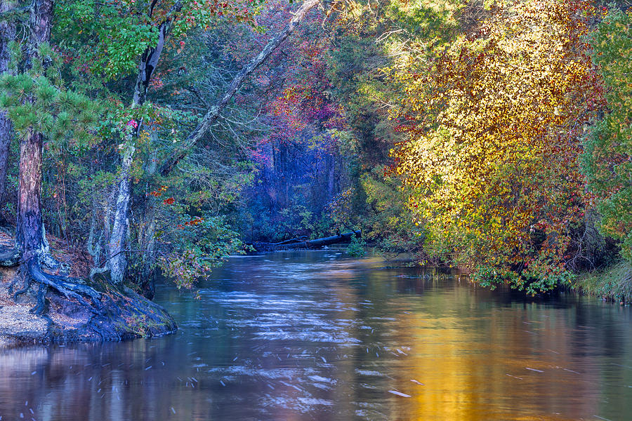 Golden Glow by Charles Aitken Golden Glow by Charles Aitken