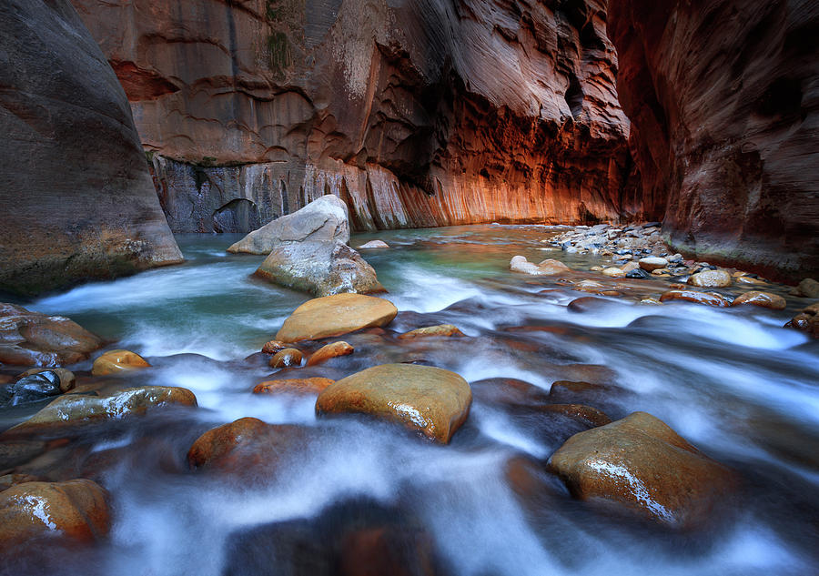 Desert Photograph - Golden Glow in the Zion Narrows by Wasatch Light
