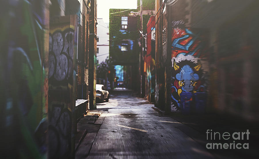 Golden Graffiti Alley, Photograph Photograph by Stephen Geisel