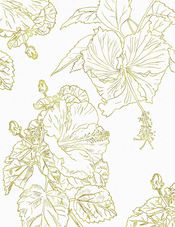 Golden Hibiscus Drawing by Masha Batkova