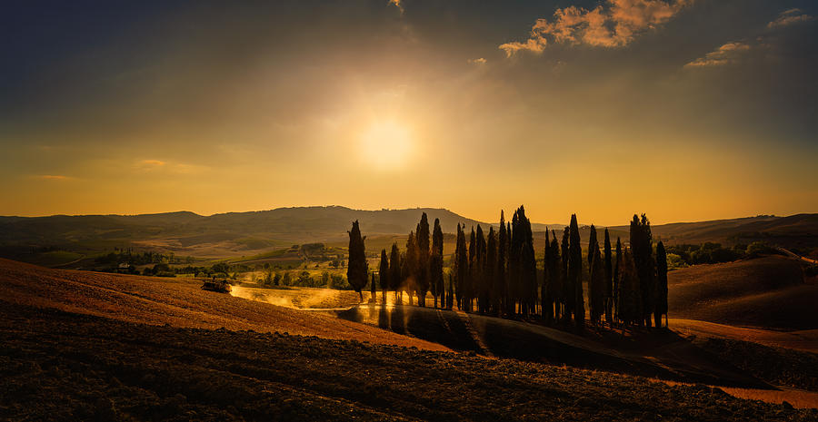 Nature Photograph - Golden Hill by Tommaso Pessotto