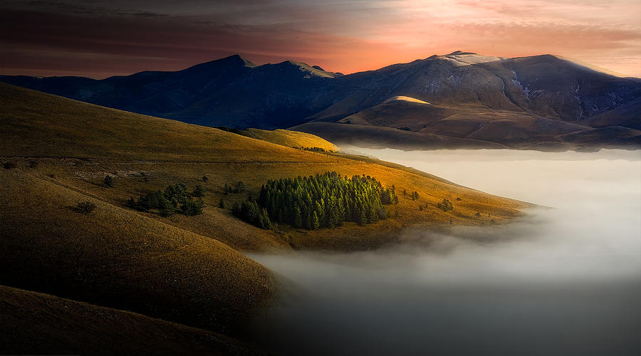 Golden Hills. Photograph by Fabrizio Massetti