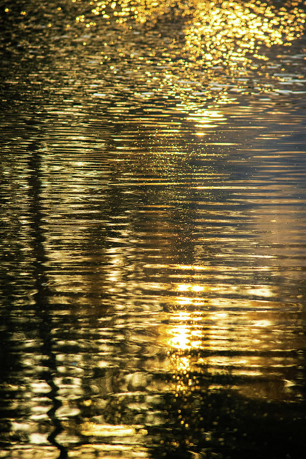 Golden Hour Abstract Photograph by Mary Ann Artz