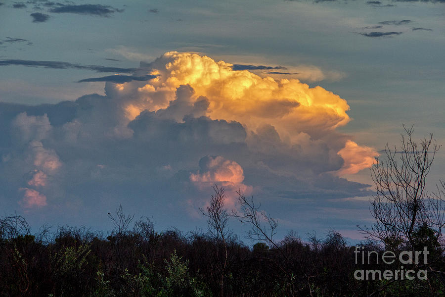 Golden Hour Cloud Photograph by Douglas Barnard