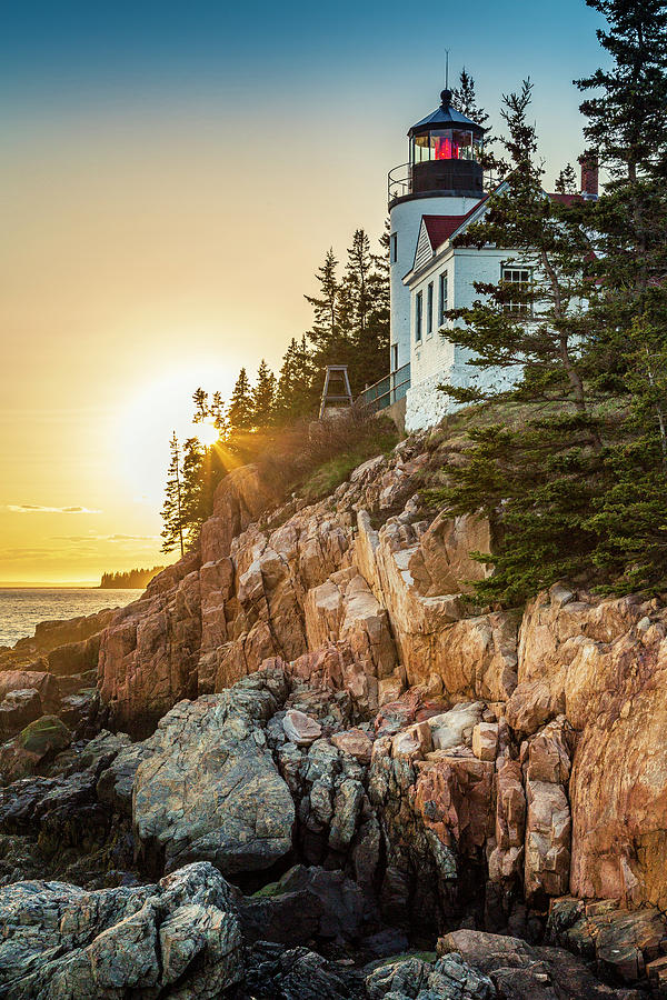 Golden Hour in Acadia Photograph by ProPeak Photography