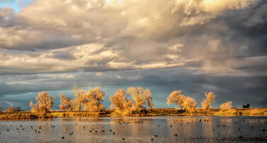 Golden Hour in the Refuge Photograph by Cheryl Strahl Golden Hour in the Refuge Photograph by Cheryl Strahl
