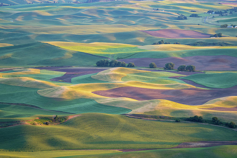 Golden hour sunset in the Palouse Photograph by Melissa Stukel - Pixels