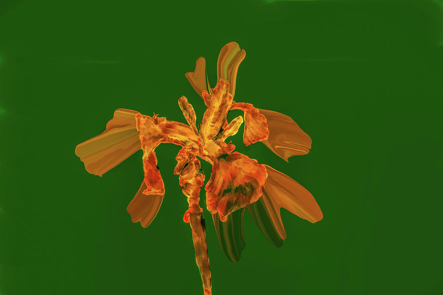 Golden iris p #i2 Digital Art by Leif Sohlman