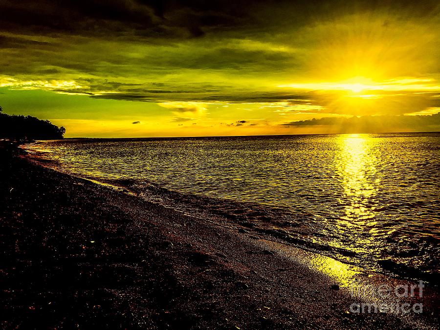 Golden Lake Erie Photograph by Michael Krek
