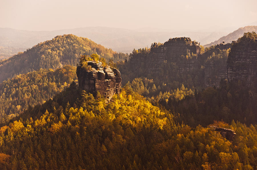 Golden Landscape In Autumn Photograph by Andreas Schott (bonnix)