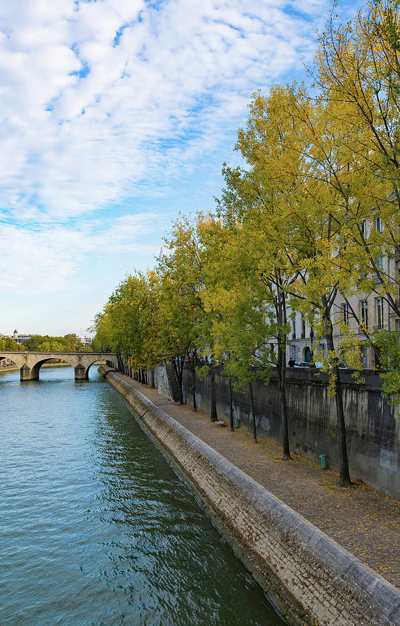 Golden Leaves Along The Seine Photograph