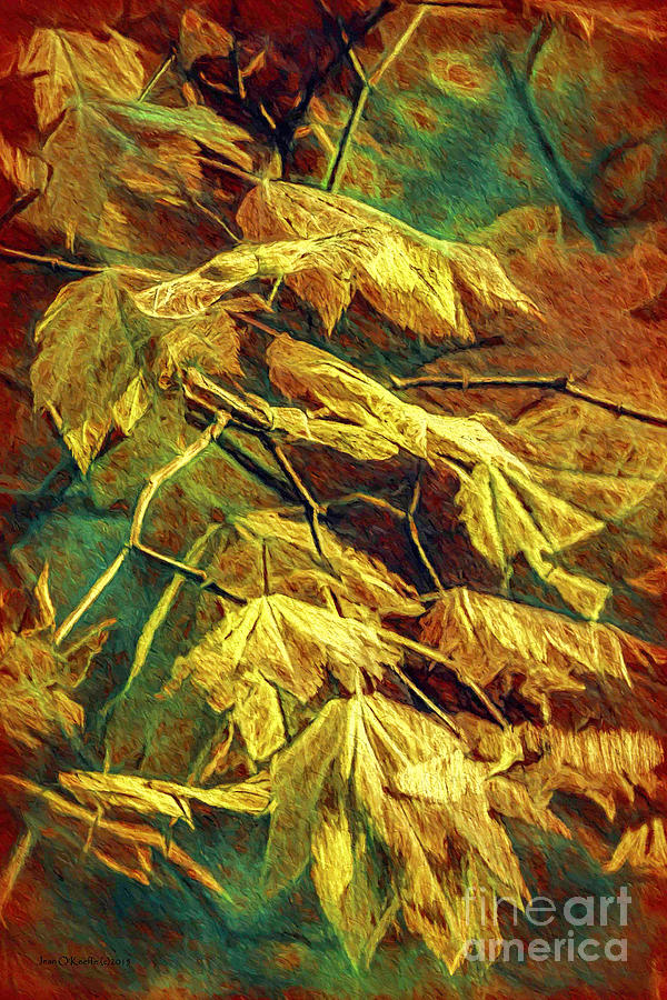 Golden Leaves Digital Art by Jean OKeeffe Macro Abundance Art