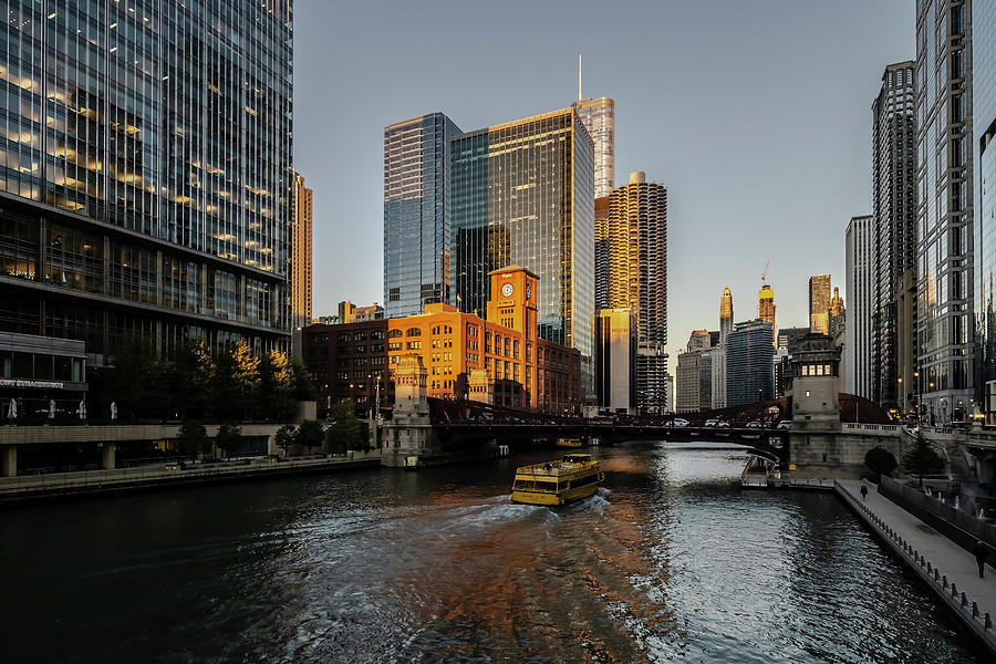 Golden light Chicago River Scene Photograph by Sven Brogren