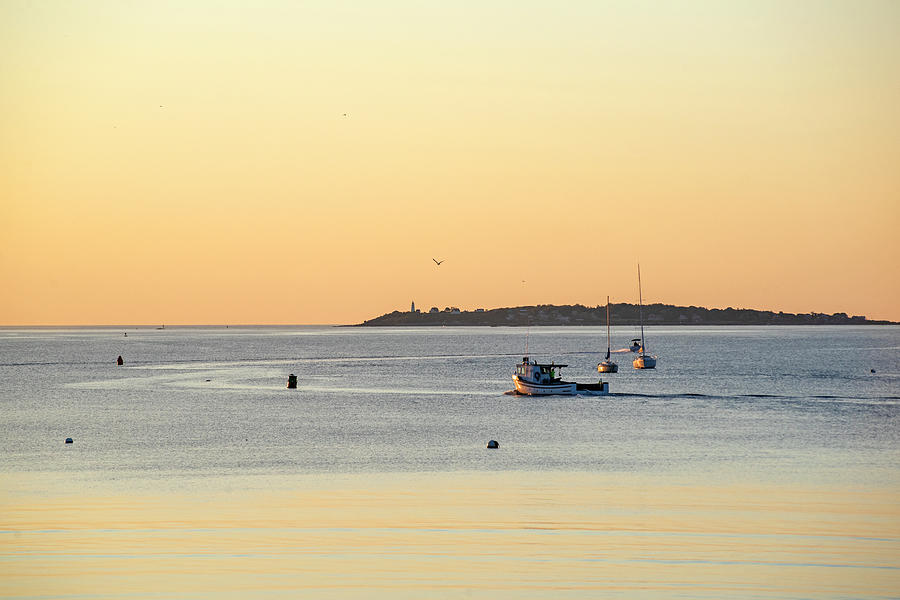 Golden light over Beverly MA and Bakers Island Sunrise Photograph by Toby McGuire