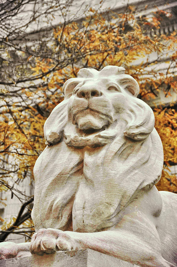 Golden Lion Strength Photograph by JAMART Photography