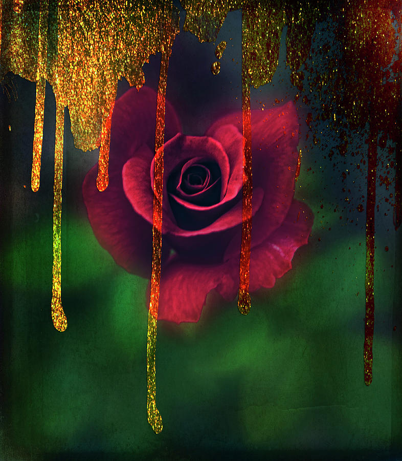 Nature Photograph - Golden Moments of a Garden Rose by Toni Hopper