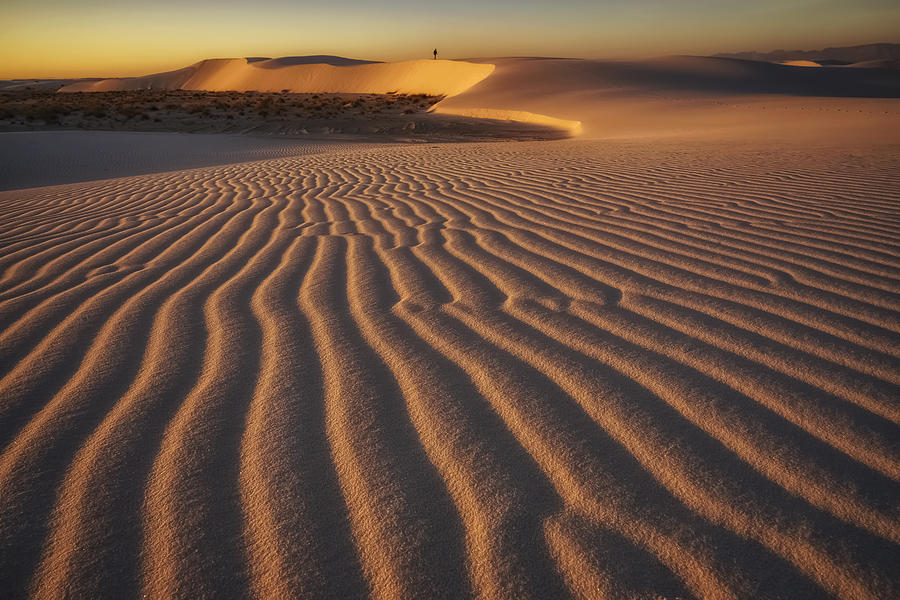 White Sands National Monument Photograph - Golden Morning by Lydia Jacobs