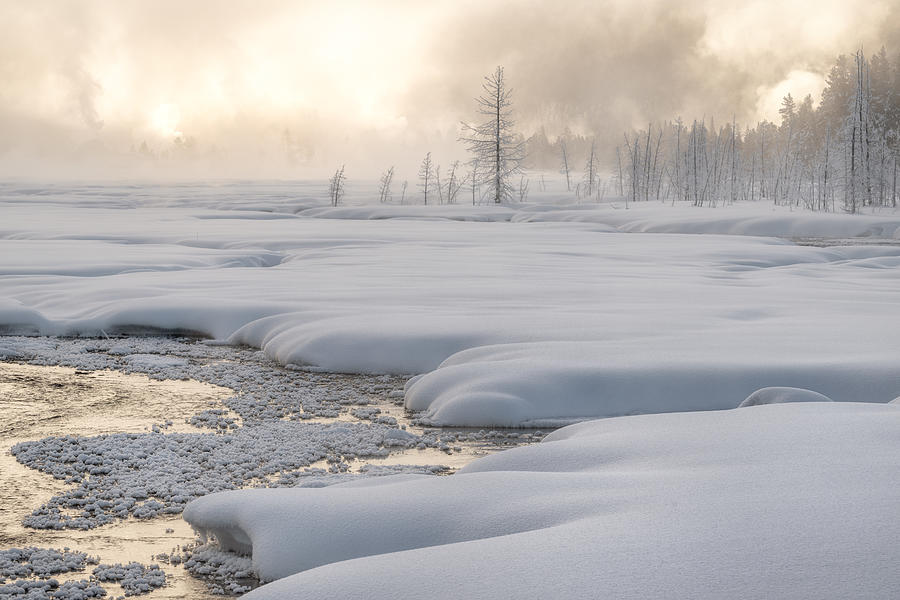 Yellowstone National Park Photograph - Golden Morning by Susanne Landolt