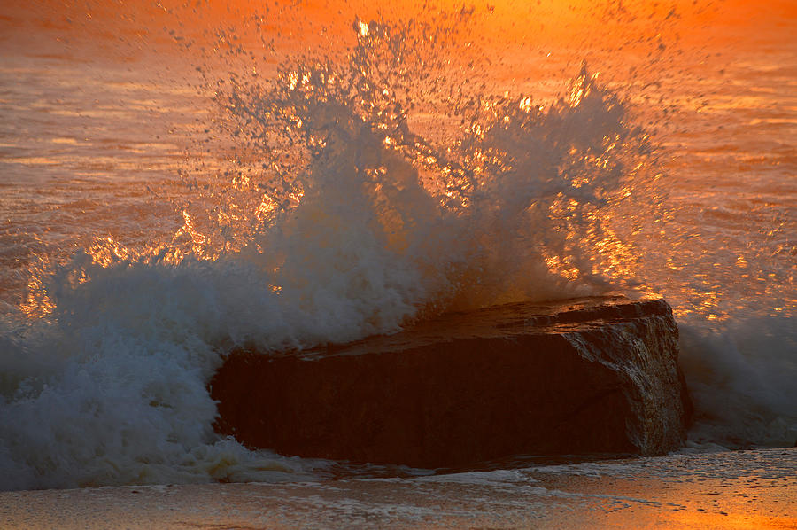 Golden Motion Photograph by Dianne Cowen Cape Cod Photography
